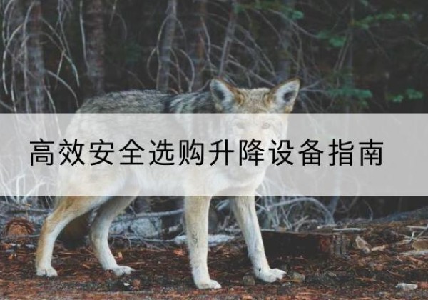 宁强升降货梯厂家推荐-*安全选购升降设备指南