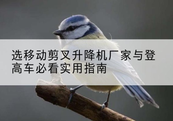 宁强电动升降机厂家-选移动剪叉升降机厂家与登高车必看实用指南