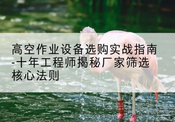 宁强剪叉式升降机厂家-高空作业设备选购实战指南-十年工程师揭秘厂家筛选核心法则